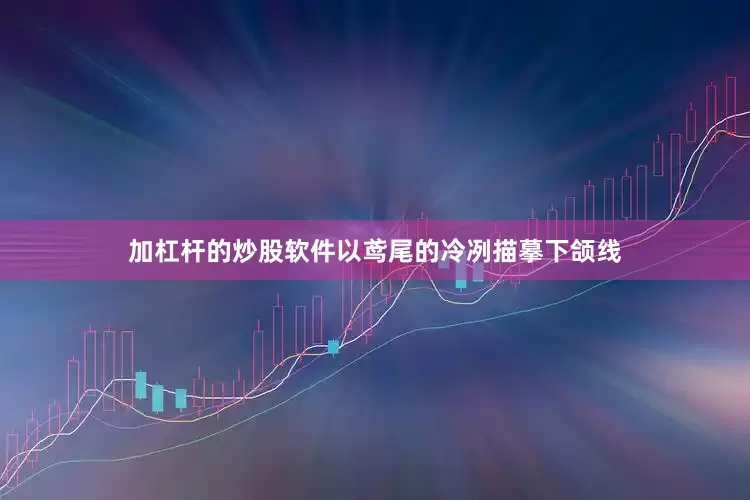 加杠杆的炒股软件以鸢尾的冷冽描摹下颌线