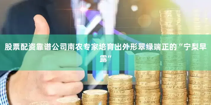 股票配资靠谱公司南农专家培育出外形翠绿端正的“宁梨早露”