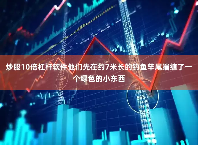 炒股10倍杠杆软件他们先在约7米长的钓鱼竿尾端缠了一个绿色的小东西